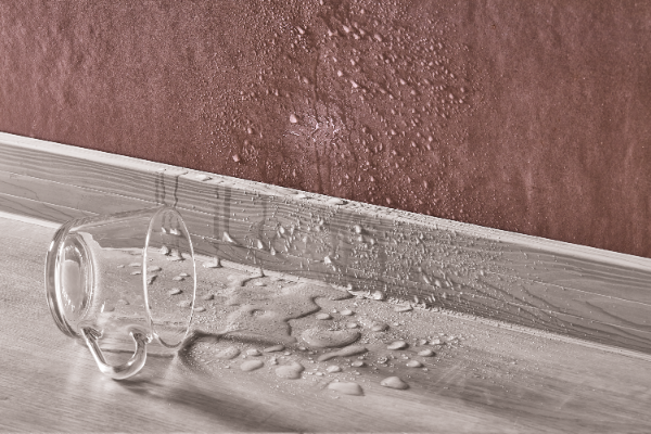 Cezar60 skirting board connector 20x60mm 1 set = 2 pcs Cezar Alabama Oak Matt