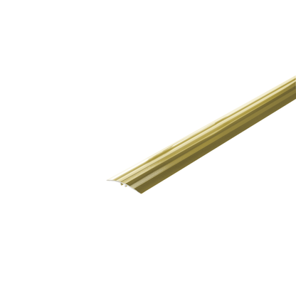 AL protective strip, push-in, with groove, 47mm, L= 1.86m, Gold El-Poler
